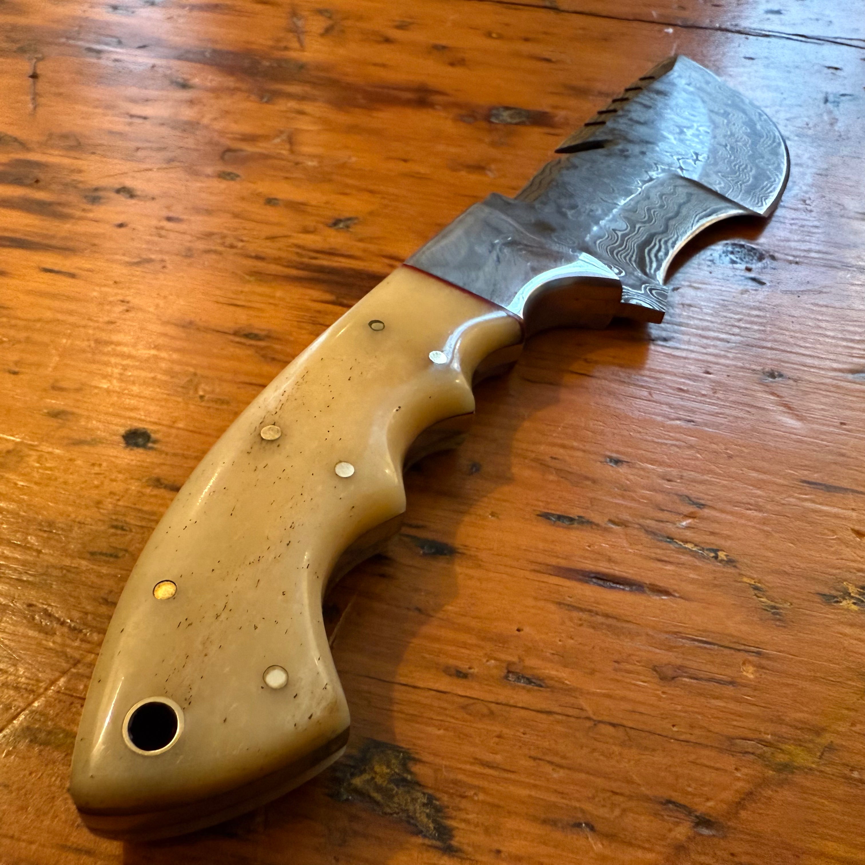 Damascus Tracker Knife- Camel Bone Handle